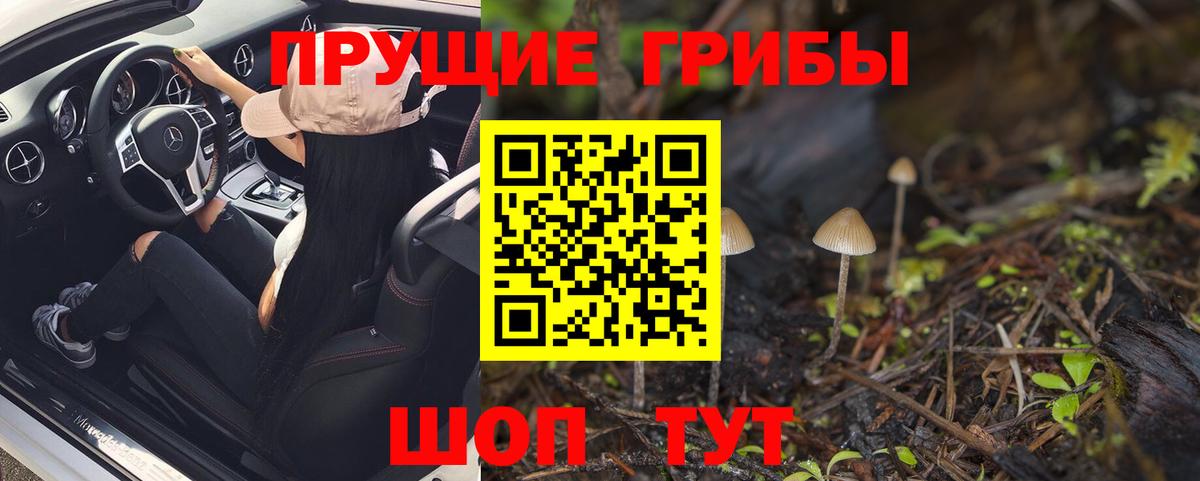 Галлюциногенные грибы Magic Shrooms Партизанск