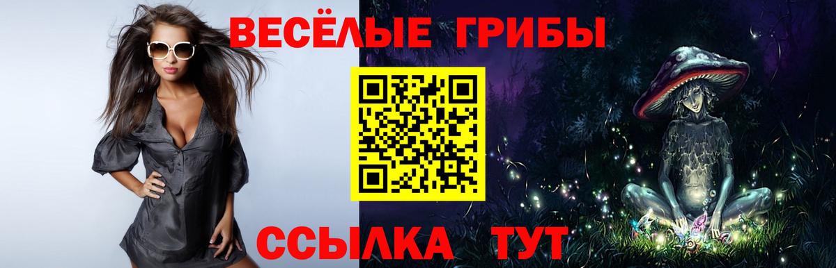 Галлюциногенные грибы Psilocybe  Вход с VPN  Галлюциногенные грибы Magic Shrooms  цены наркотик  Партизанск 